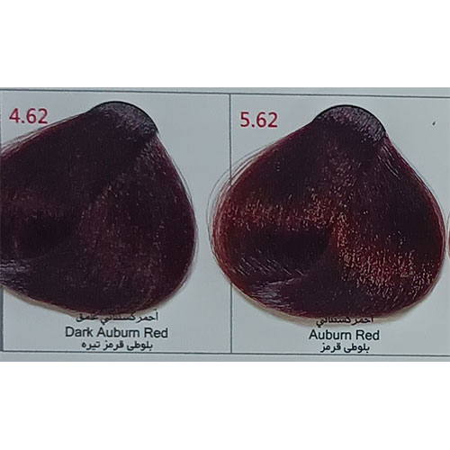 رنگ مو پادینا سری بلوطی قرمز شماره 4.62 حجم 100 میلی لیتر رنگ بلوطی قرمز تیره