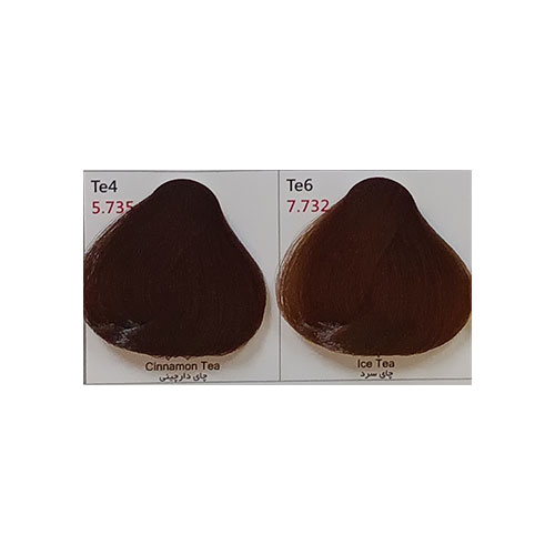 رنگ مو پادینا سری چایی شماره Te4 حجم 100 میلی لیتر رنگ چای دارچینی