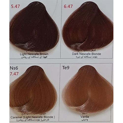 رنگ مو پادینا سری نسکافه ای شماره Te9 حجم 100 میلی لیتر رنگ  وانیلی