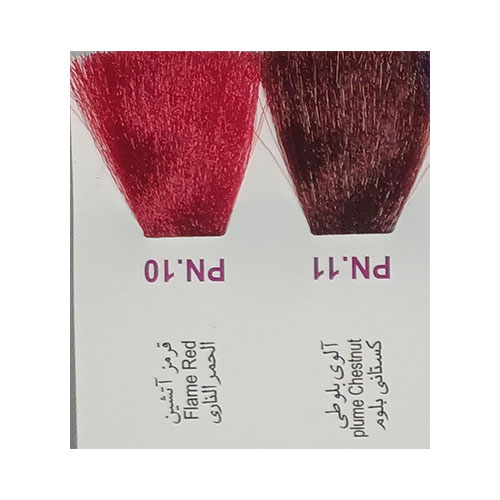 رنگ مو پادینا سری جدید شماره PN.11 حجم 100 میلی لیتر رنگ آلوی بلوطی