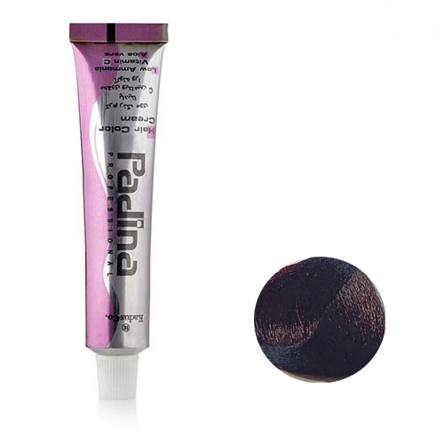 رنگ مو پادینا سری شرابی شماره V2 حجم 100 میلی لیتر رنگ بادمجانی