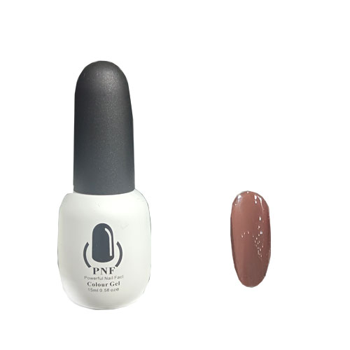 لاک ژل pnf شماره 104