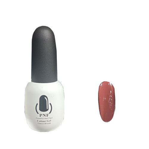 لاک ژل pnf شماره 105