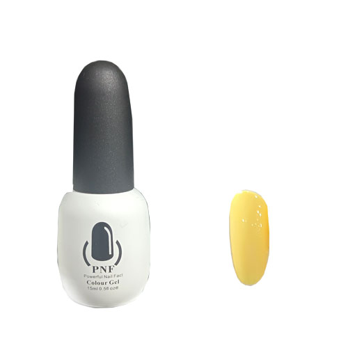 لاک ژل pnf شماره 110