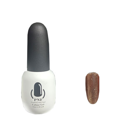 لاک ژل pnf شماره 169